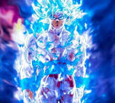 goku2.jpg