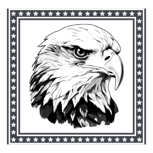 bald eagle flag frame.jpg