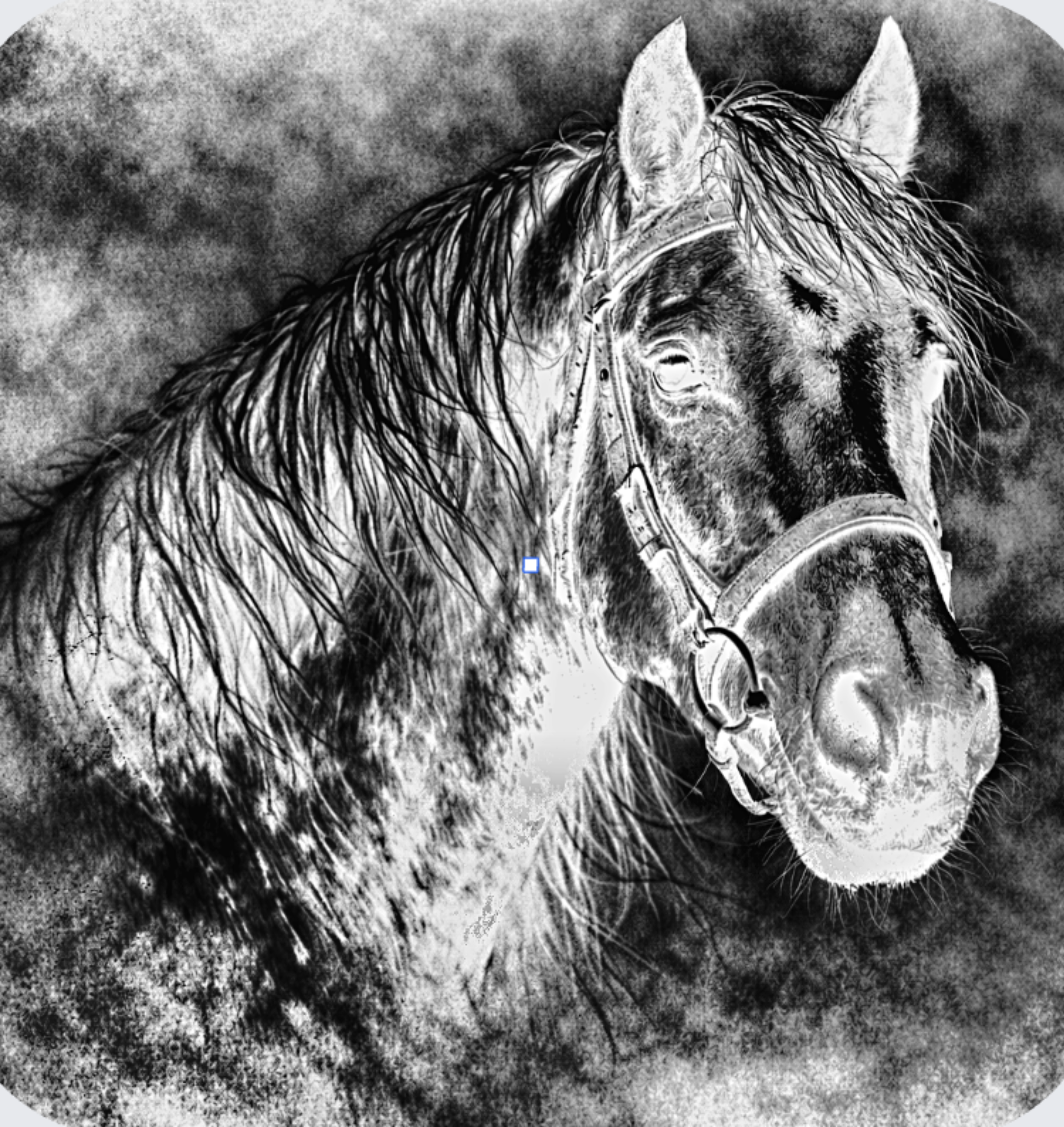 upscaled_horse.png