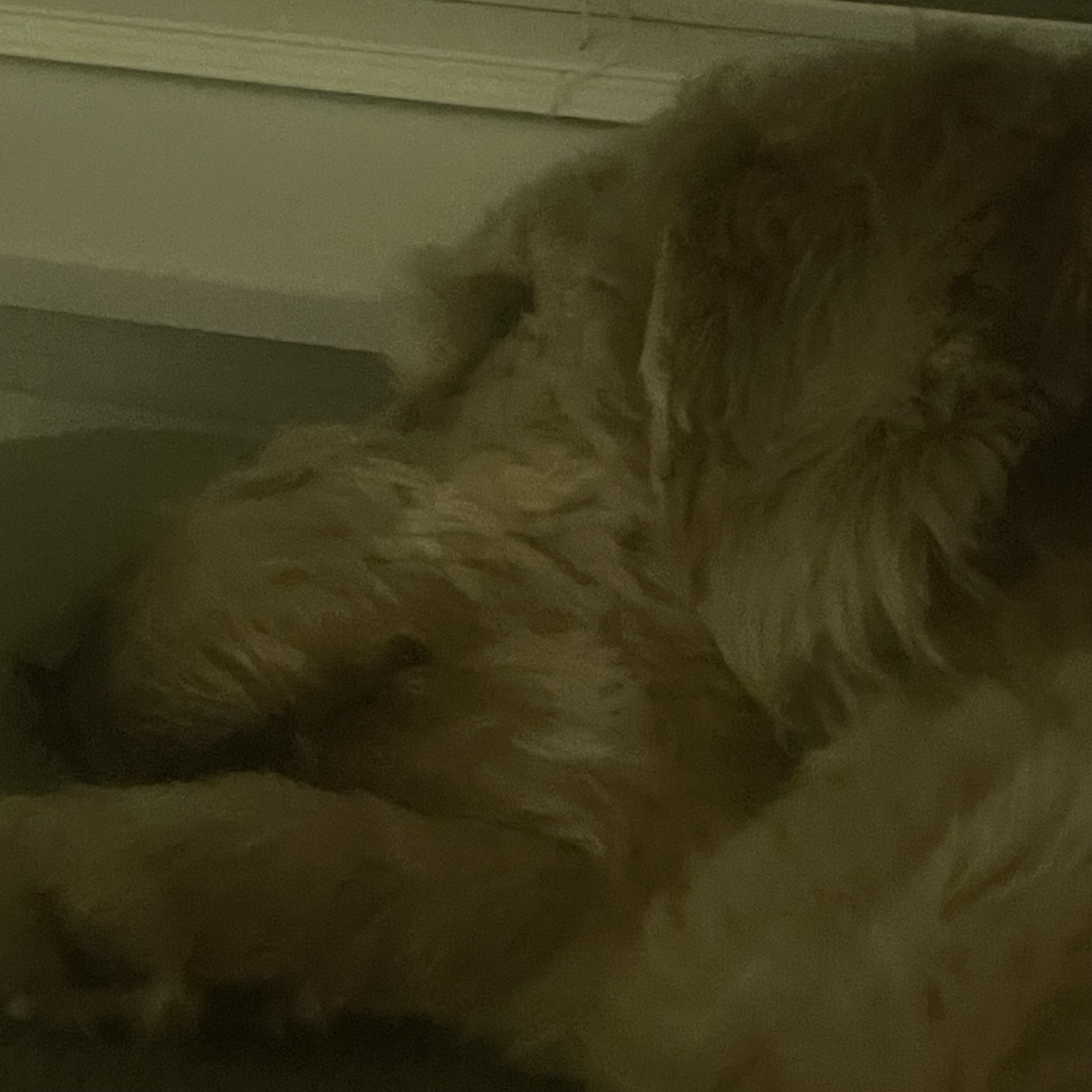 IMG_0428.jpeg