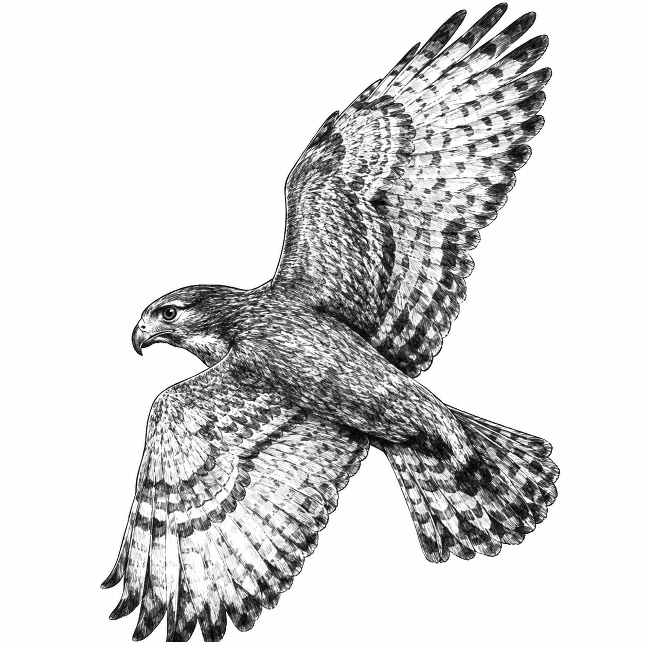 675DDB19-700E-45D6-807C-A29165098606.png