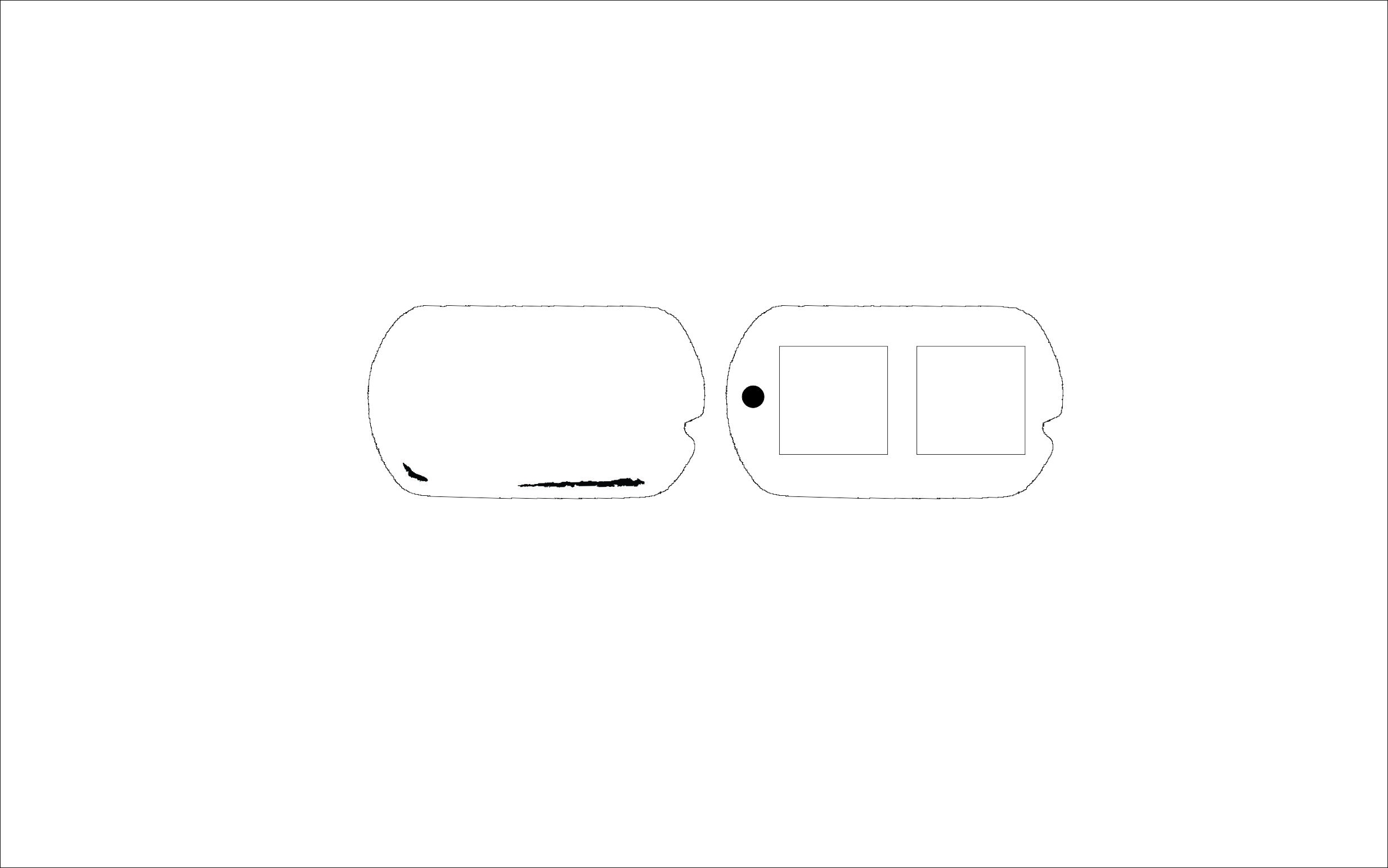 dogtags.jpg