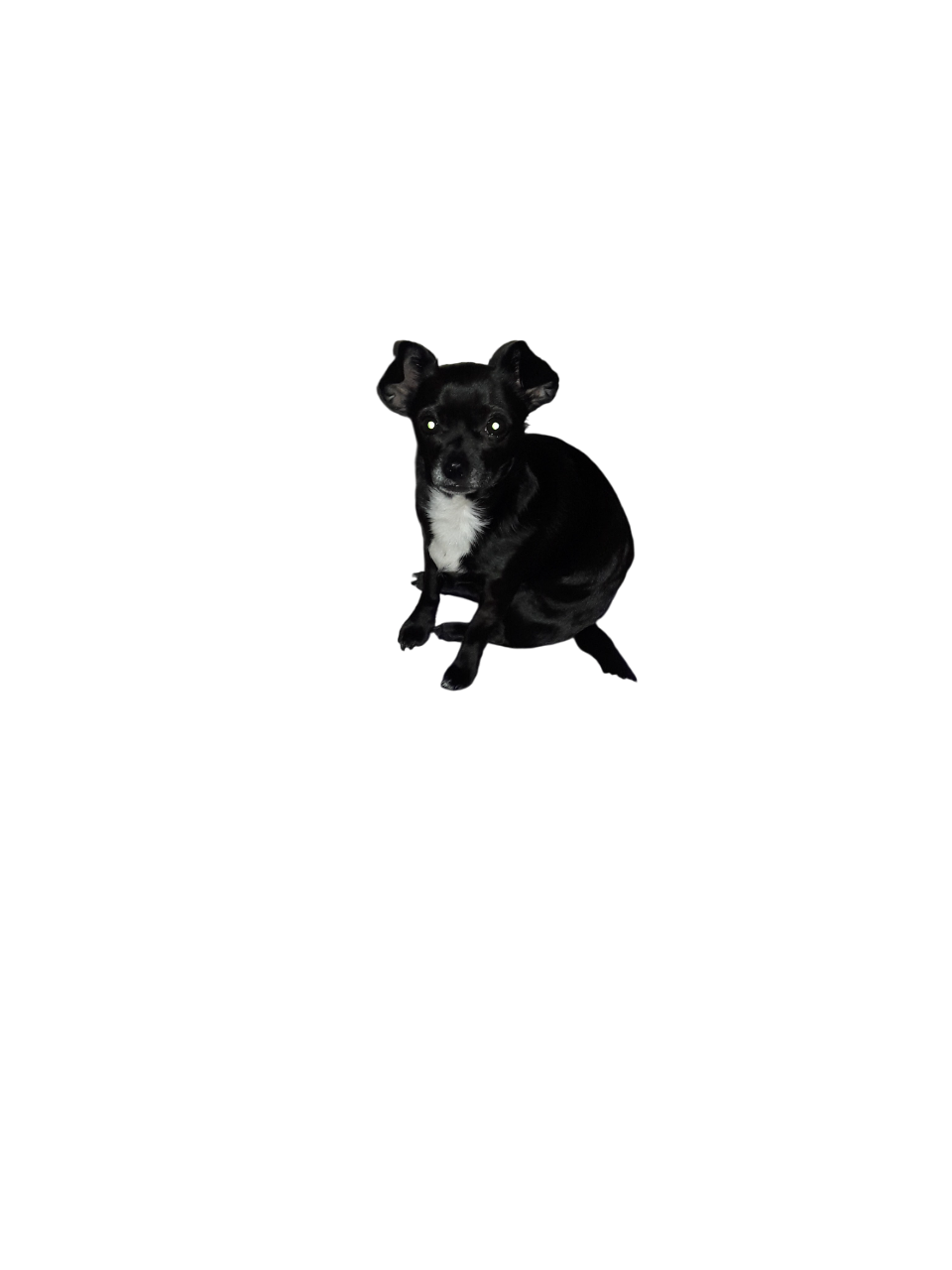 20170908_185259-Photoroom.png