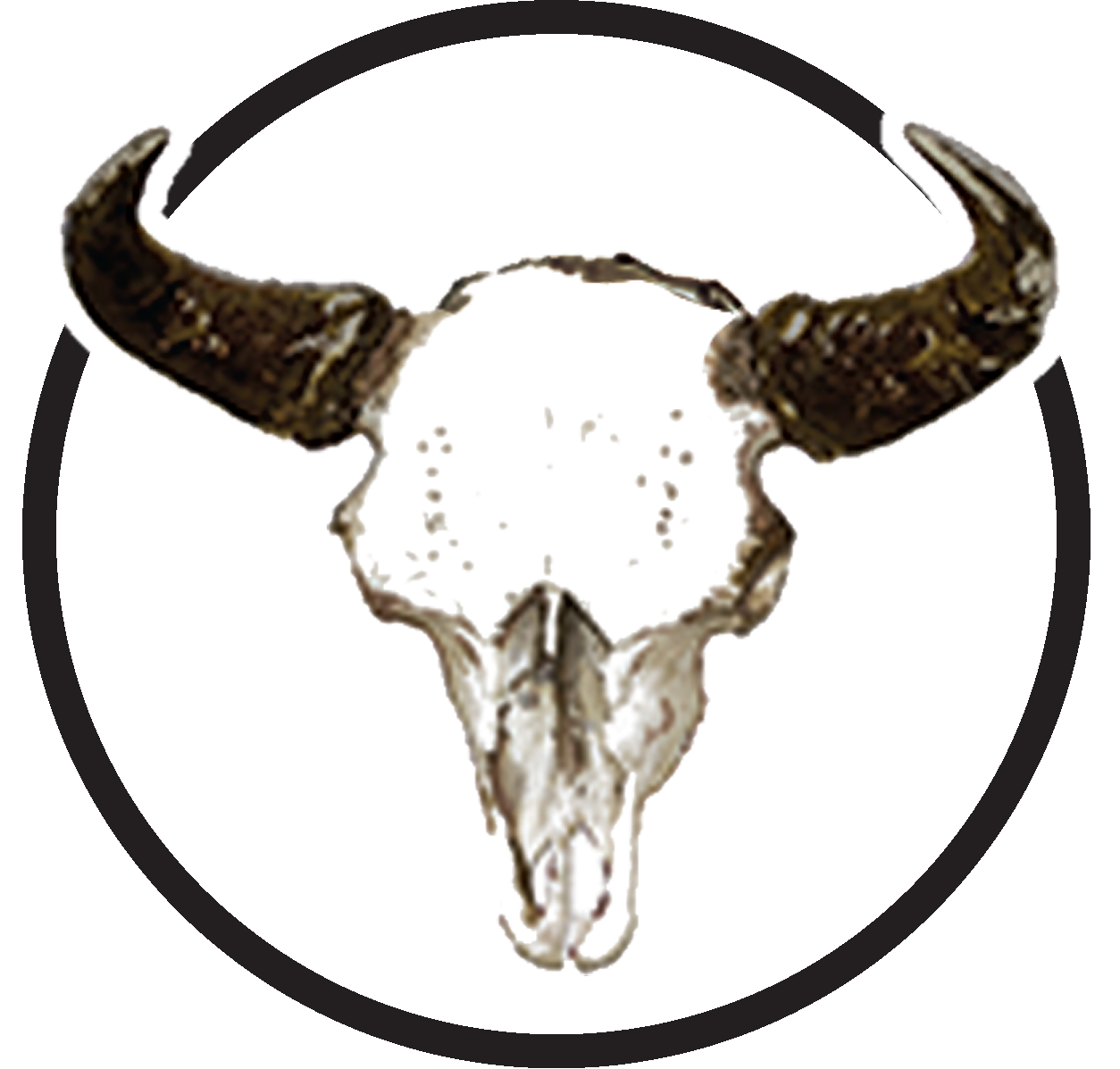 Bison Coaster.png