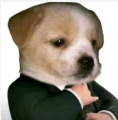WX20250619-170009@2x.png