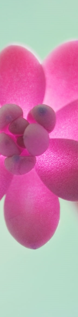 sp251118_174421.png