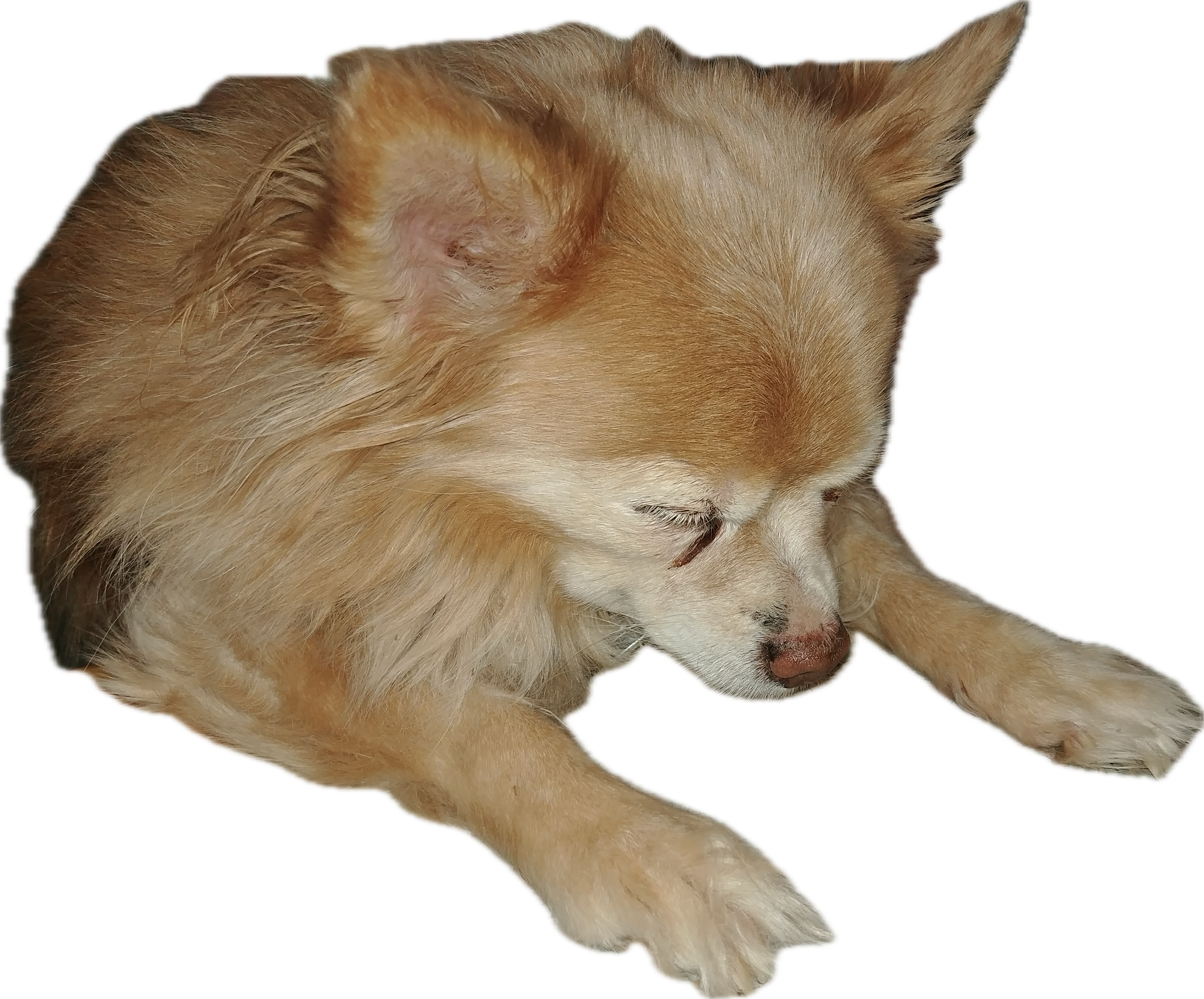 Subject(1).png