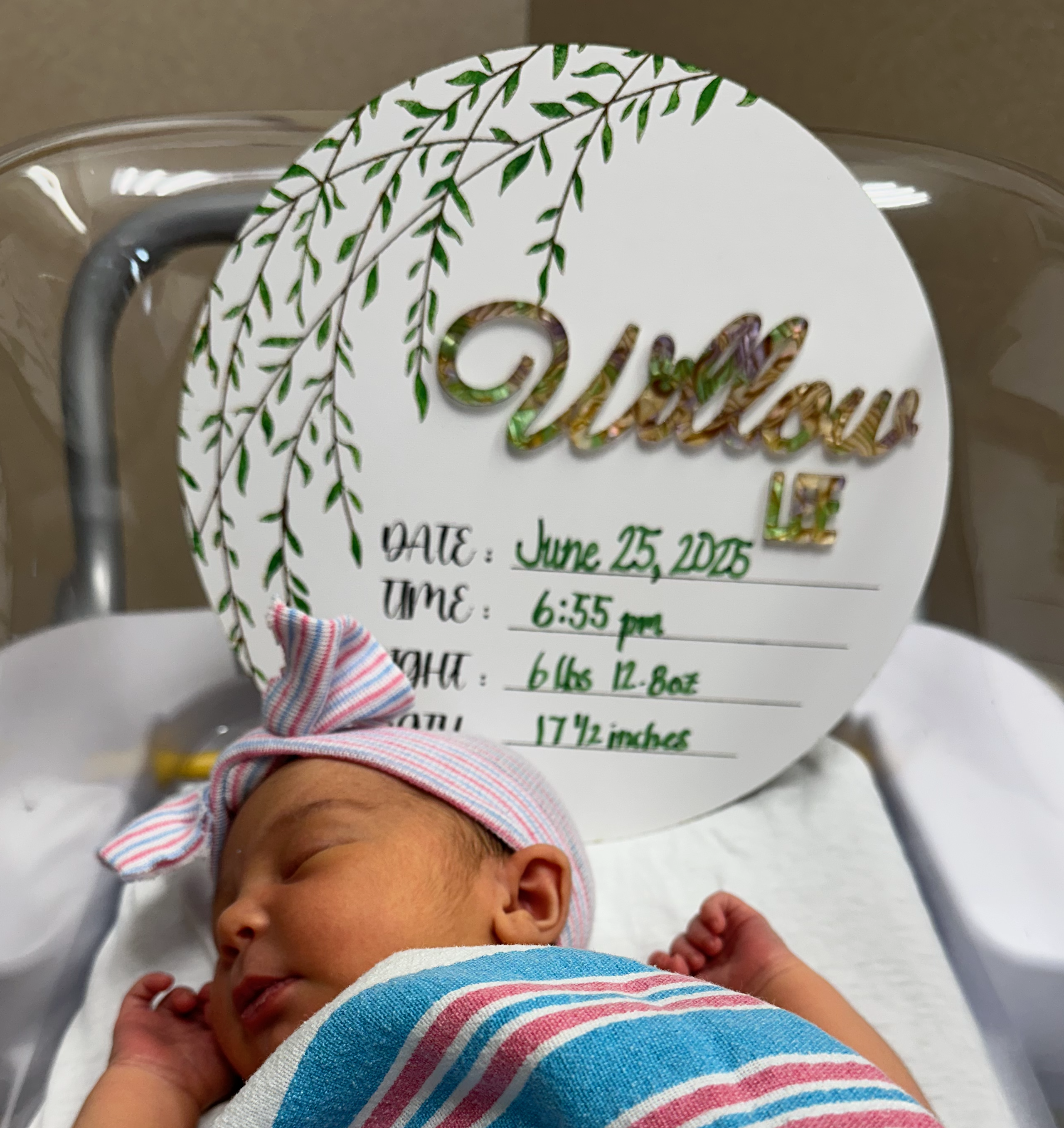 Willowbirth.png