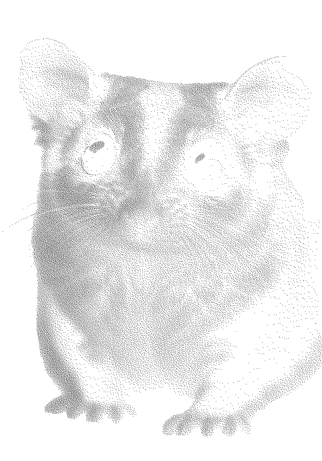 pet07.png