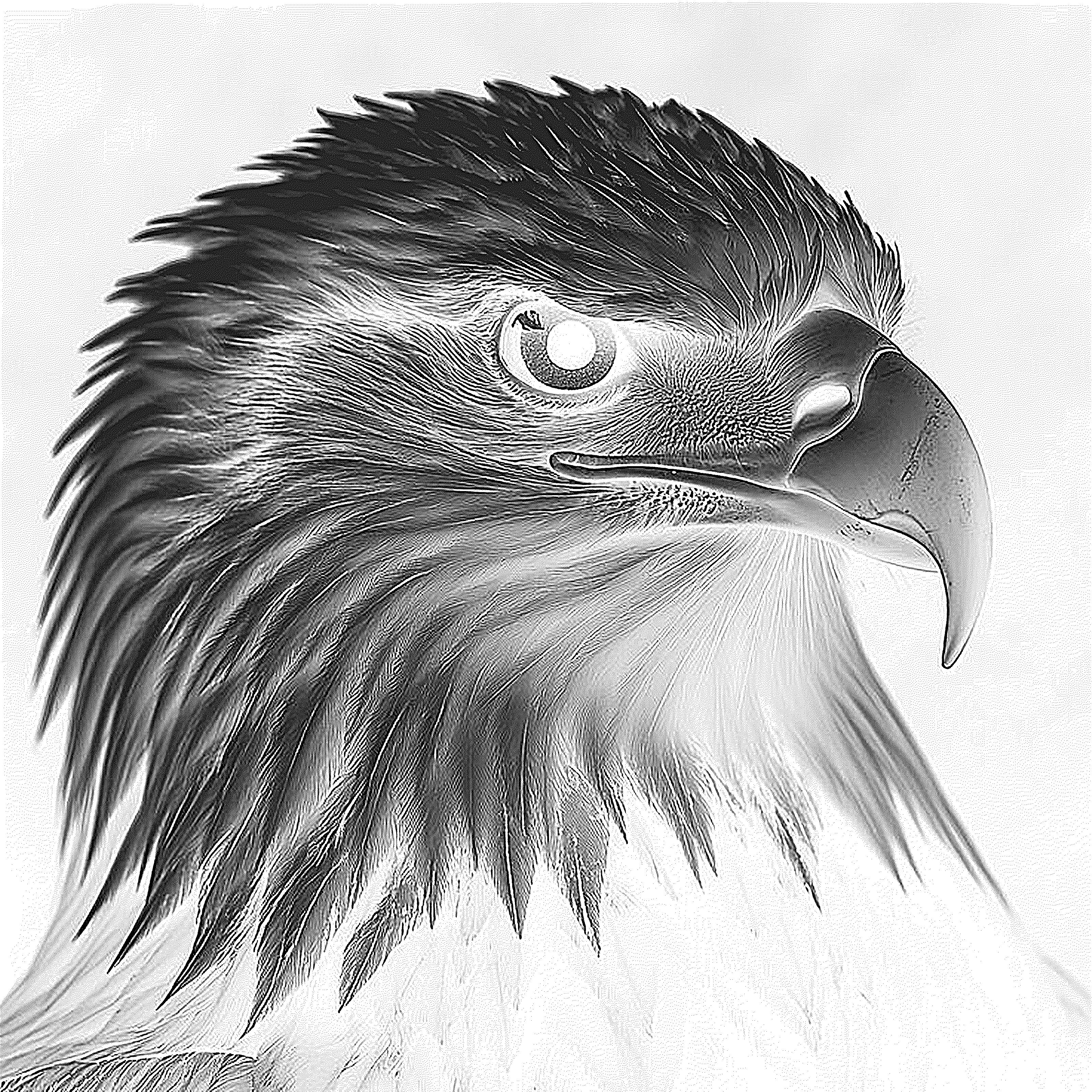 eagle 36-kasia-white-tile-painted-black-400.jpg