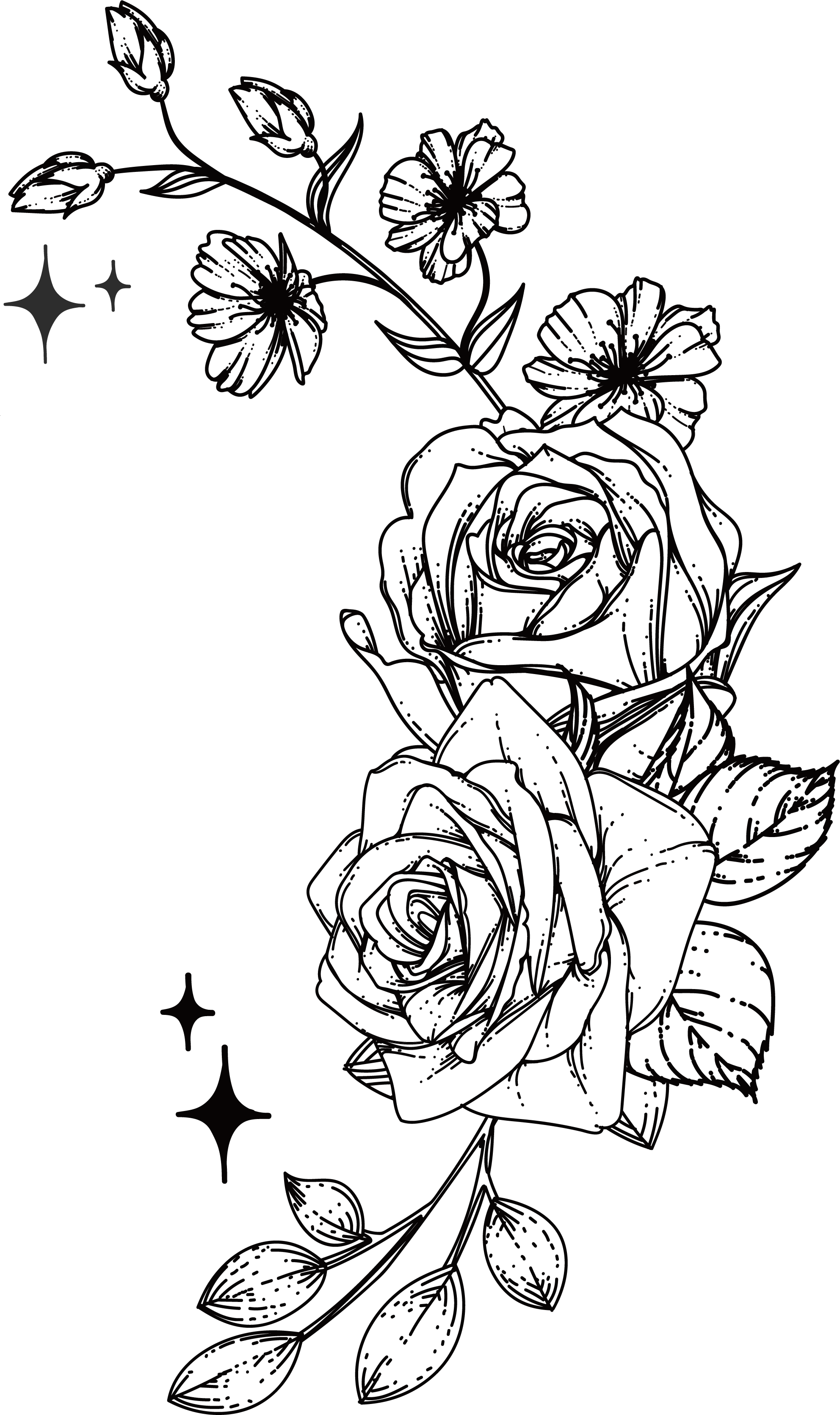 PNG48.png