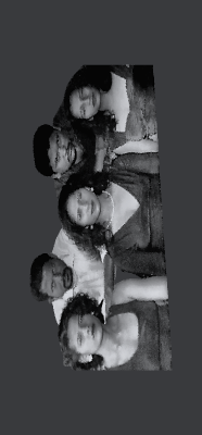 flower family.xs