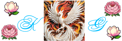 phoenix kg.xs