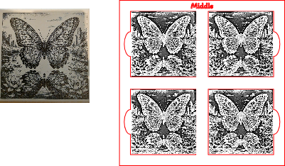 butterfly.xs