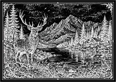 deer.xs