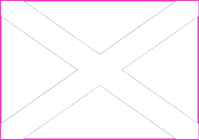 Scottish Flag Flask.xs
