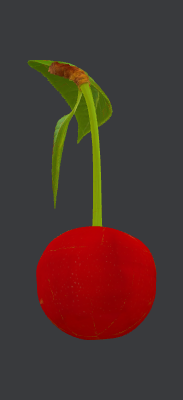 Two Cherries.xs