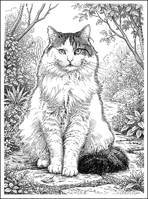 cosmo the magnificent.xs