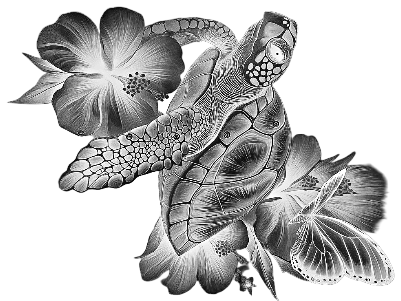 Gravure verre Tortue.xs