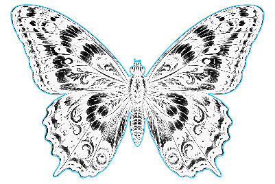butterfly.xs