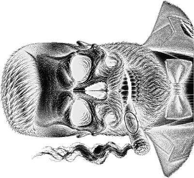 distinguished skull Glencairn.xs