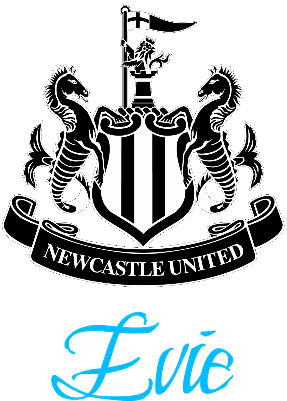 Newcastle United Logo - PU Leather Keyring.xs