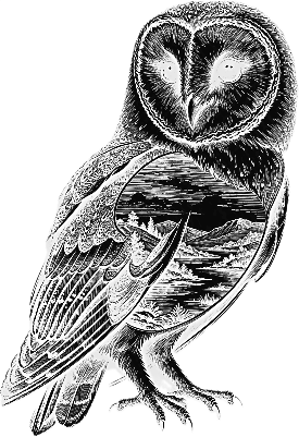 Barn Owl engraved canvas.xs