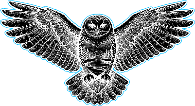 flying snowy owl.xs