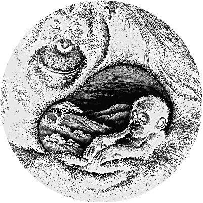 orangutan n baby rock coaster.xs