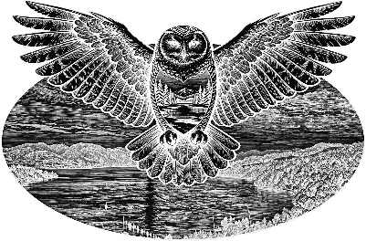 Owl over loch lomond.xs