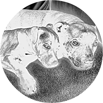 BEUTUFUL CIRCLE SLATE WITH PET DOGS KEEPSAKE.xs