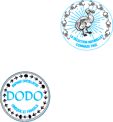 DODO.xs