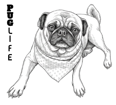 PUG.xs