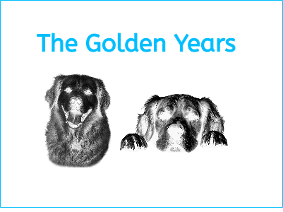 Golden Years Dog Print.xs