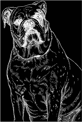 SADIE MAE ACRYLIC ENGRAVING.xs