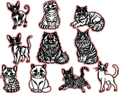 CatMagnet.xs