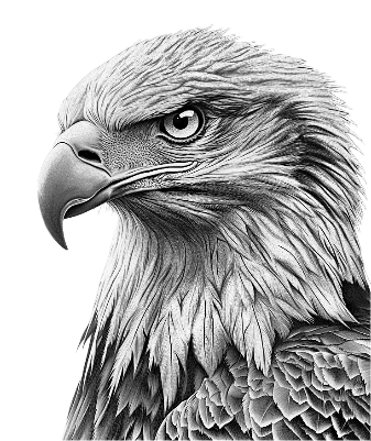 aigle papier marron.xs