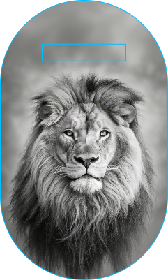 porte clef tête de lion.xs