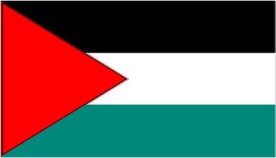 Palestinian Flag Magnet.xs