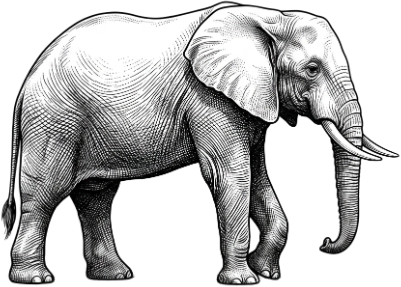 Safari_Elephant.xs