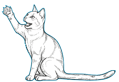 chat decoration de prise.xs