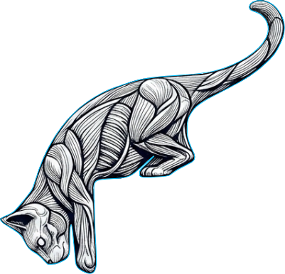chat decoration prise 1.xs