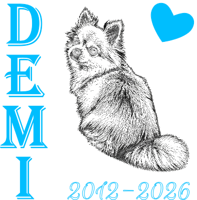 DEMI TEGEL.xs
