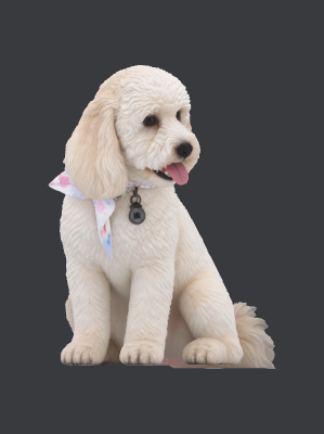 PERRITO BLANCO ESPONJOSO.xs