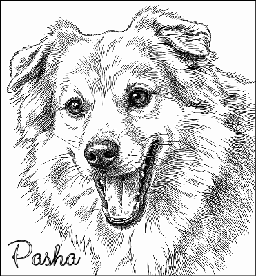 a imprimer pasha.xs