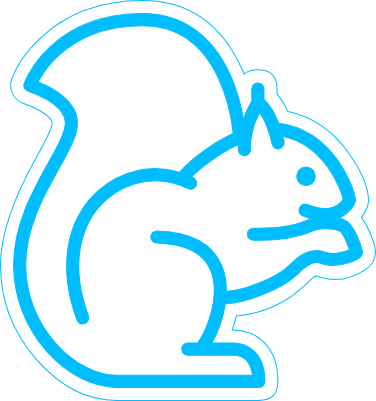 Squrrel.xs