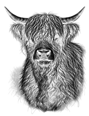 Highlandcow Stone.xs
