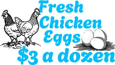 Chicken Egg Sign.xs