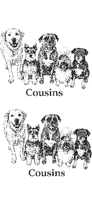wood keychain 5 dogs photo.xs