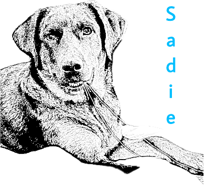 Dog.xs